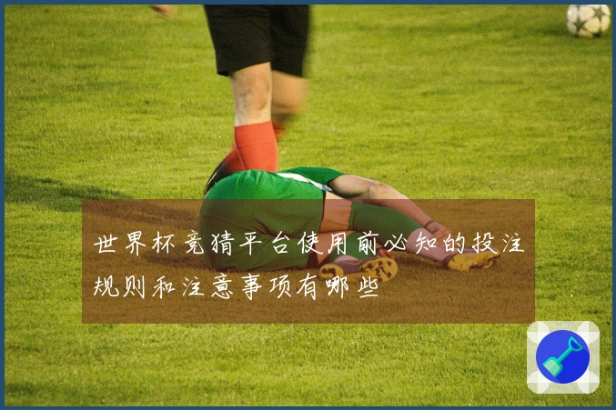 世界杯竞猜平台使用前必知的投注规则和注意事项有哪些