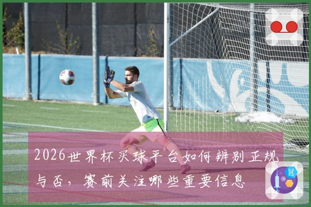 2026世界杯买球平台如何辨别正规与否，赛前关注哪些重要信息