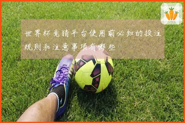 世界杯竞猜平台使用前必知的投注规则和注意事项有哪些