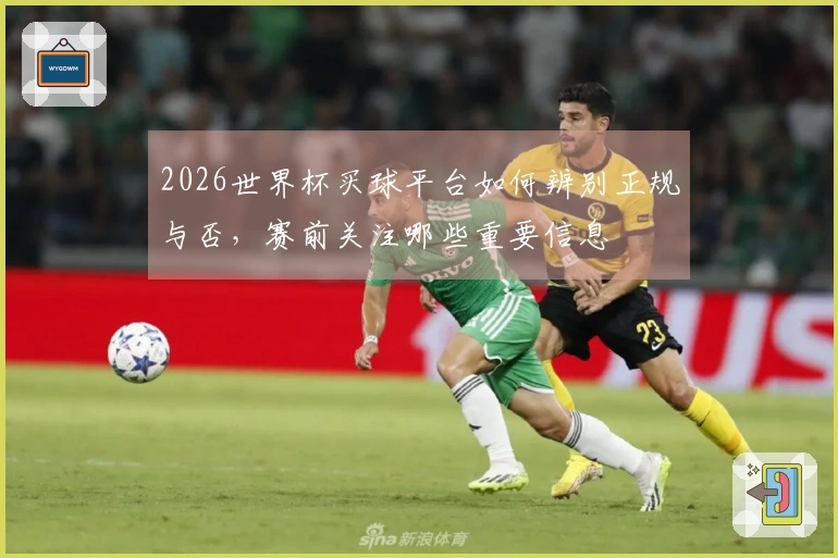 2026世界杯买球平台如何辨别正规与否，赛前关注哪些重要信息